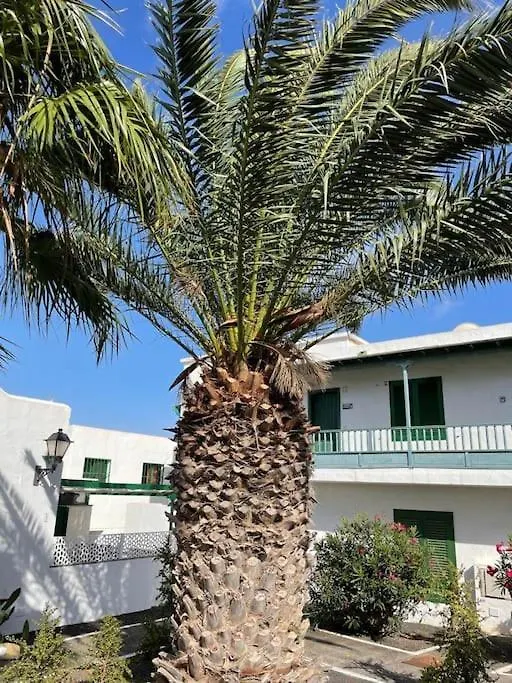 Apartamento Amura En Playa De Las Cucharas Costa Teguise 0*,